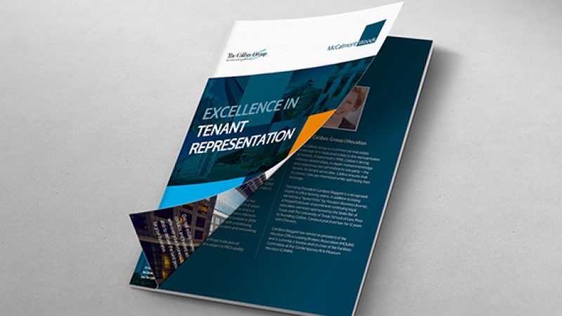 Energy_Brochure_mock-up